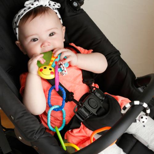 Sassy カミカミてんとうむし