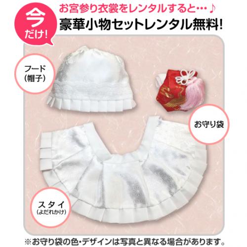豪華な熨斗の上を鶴たちが舞 女児 お宮参り 産着 祝着