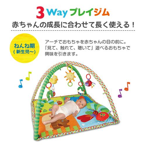 はらぺこあおむし アクティビティプレイジム