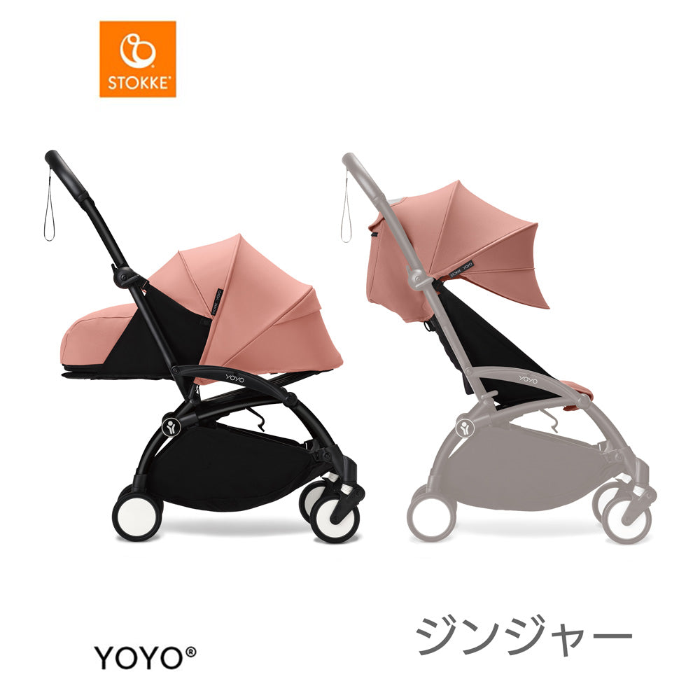 YOYO3 ABスターターセット　ジンジャー
