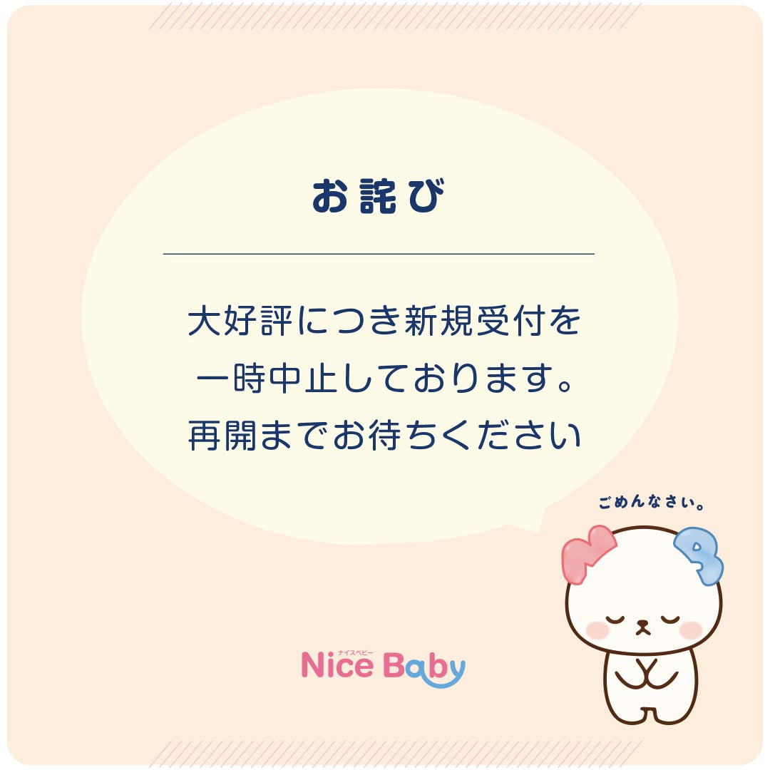 2人乗りベビーカークリーニング【ナイスベビー便限定・各種割引対象外】の3枚目